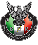 BDR_logo icona 150.png